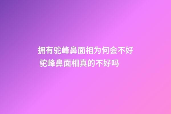 拥有驼峰鼻面相为何会不好 驼峰鼻面相真的不好吗